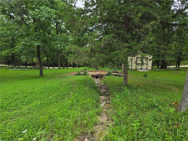 view of yard featuring a shed