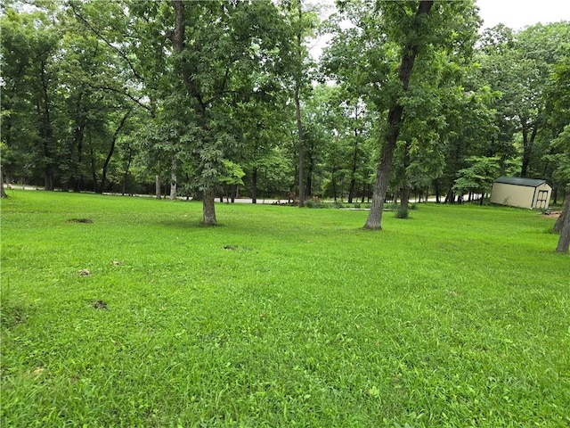 view of yard featuring a storage unit