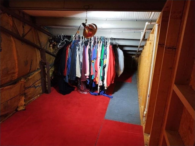 view of spacious closet