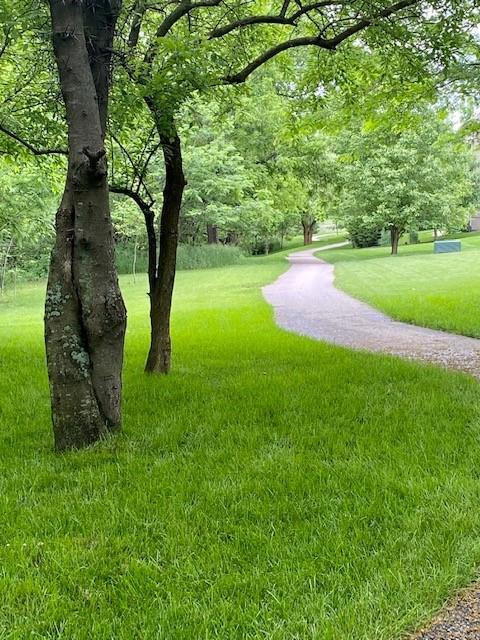 surrounding community featuring a lawn