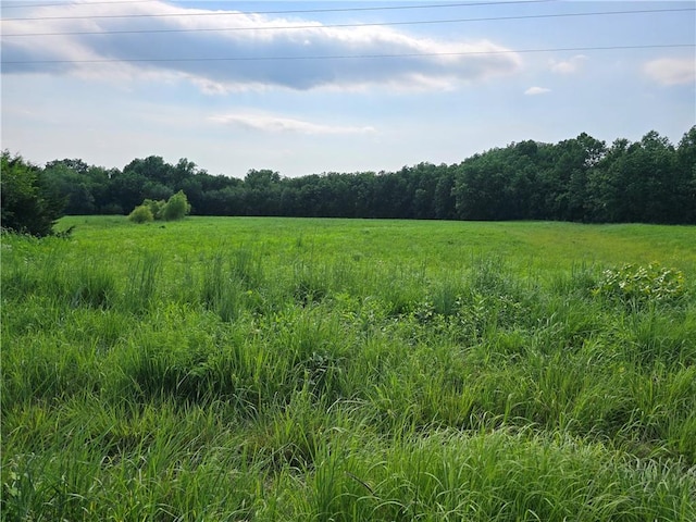 4929 NW Dd Hwy, Urich MO, 64788 land for sale