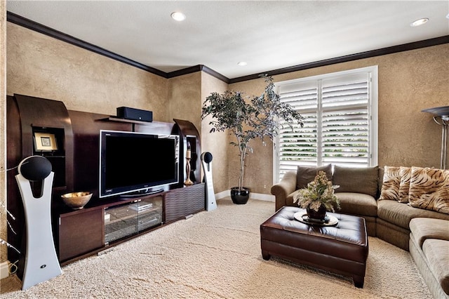 living room with carpet floors and crown molding