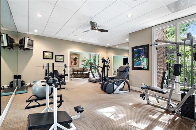 workout area with a paneled ceiling, light carpet, and ceiling fan