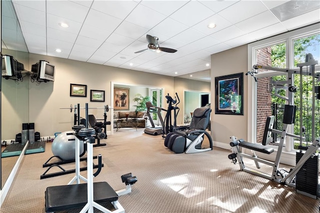 exercise room featuring a drop ceiling, baseboards, a ceiling fan, and carpet floors