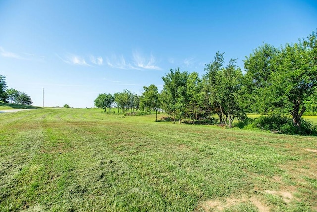 view of yard with a rural view