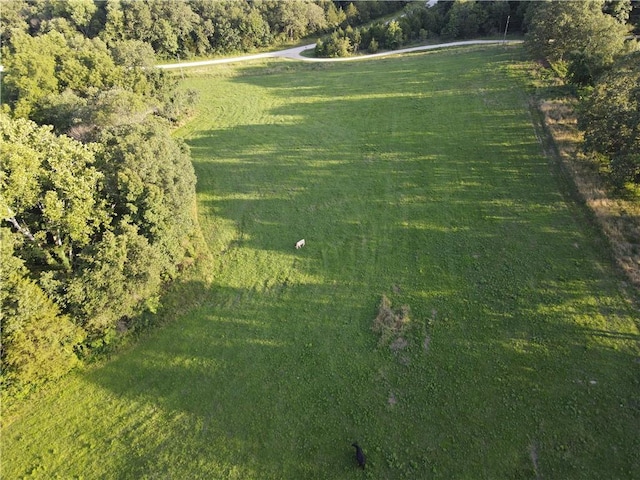 view of yard featuring a rural view