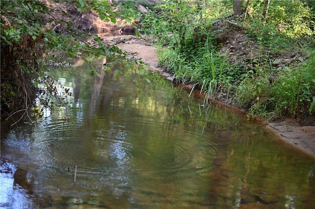 view of water feature