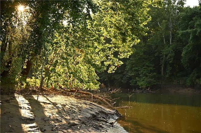 view of nature with a water view