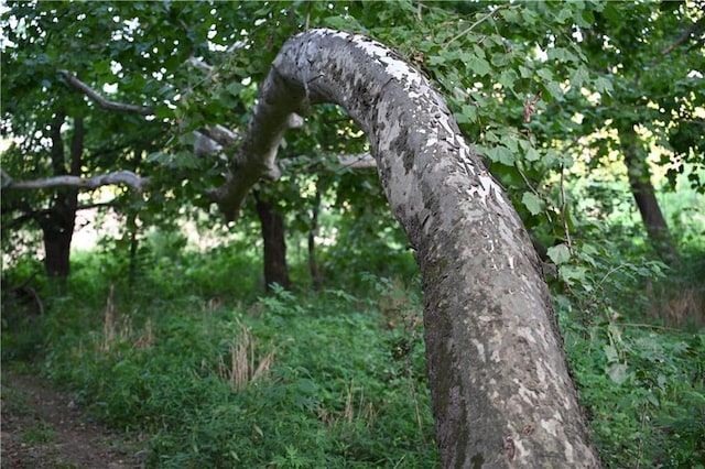 view of landscape