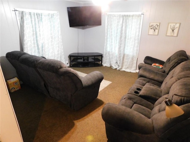 view of carpeted living room