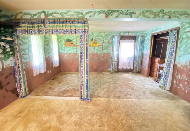 spare room with carpet floors