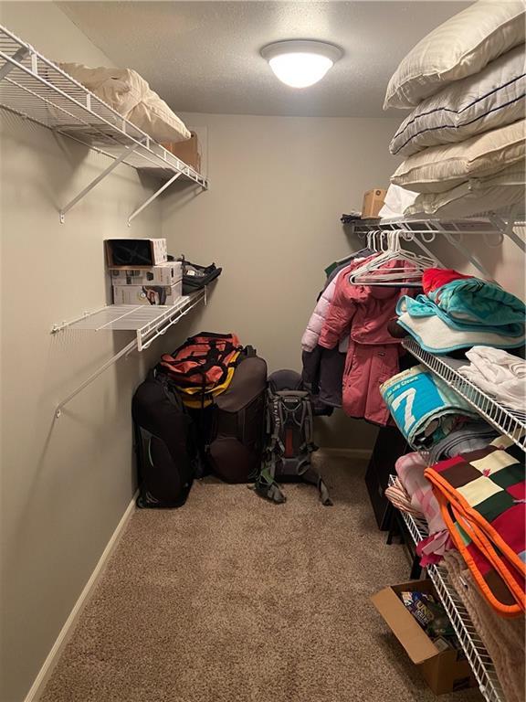 spacious closet with carpet