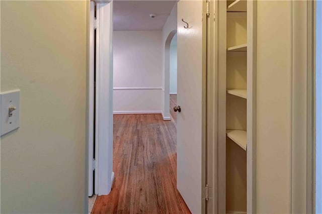 hallway featuring wood-type flooring