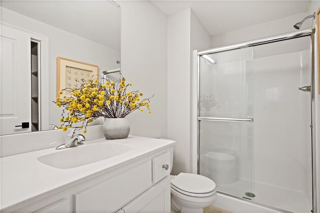 bathroom with toilet, a shower stall, and vanity