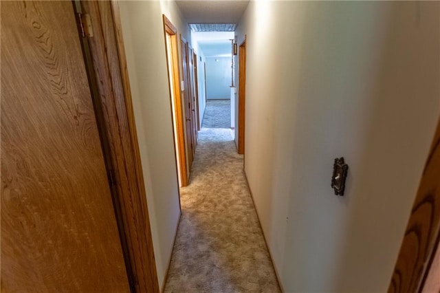 hallway with light colored carpet