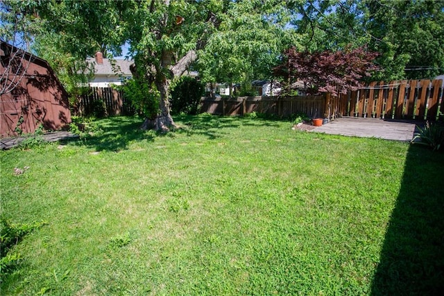 view of yard featuring a patio