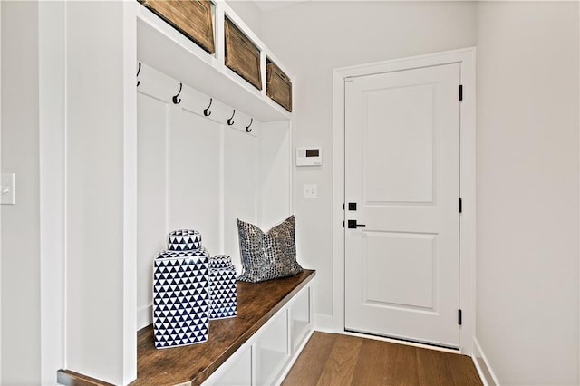 mudroom with dark wood-type flooring