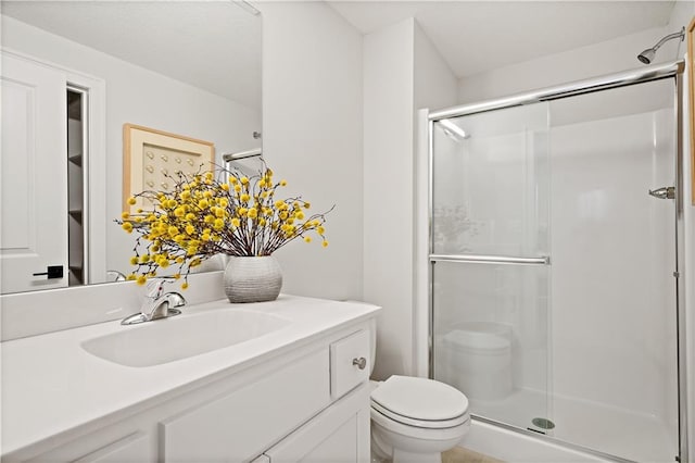 bathroom with vanity, walk in shower, and toilet