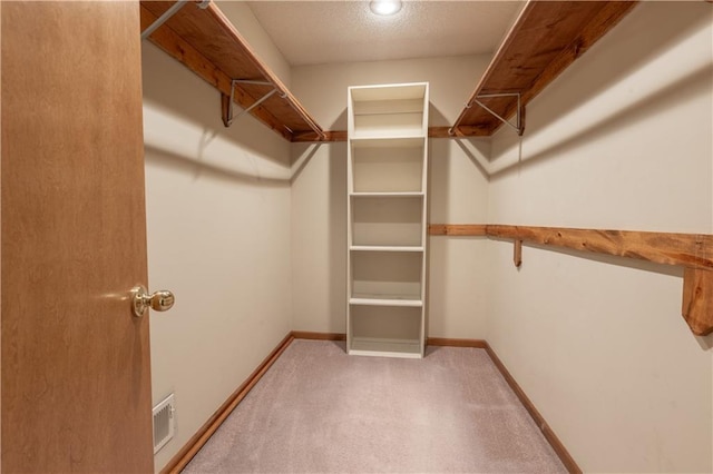 spacious closet with carpet flooring