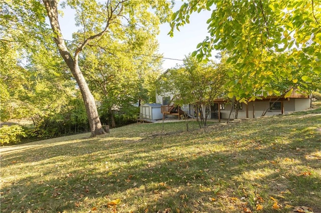 view of yard featuring a shed