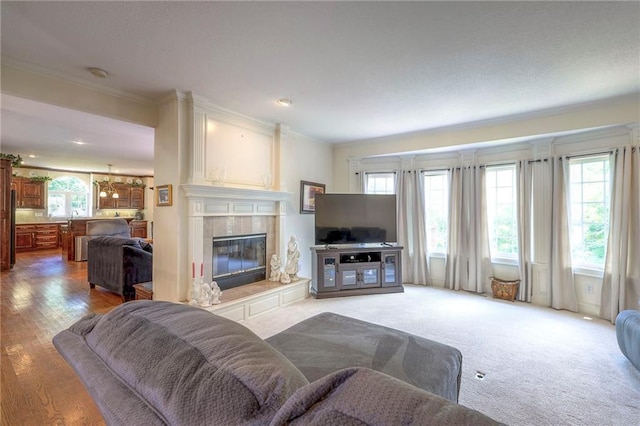 living room featuring ornamental molding and a fireplace