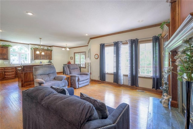 living room featuring crown molding, sink, and light hardwood / wood-style floors