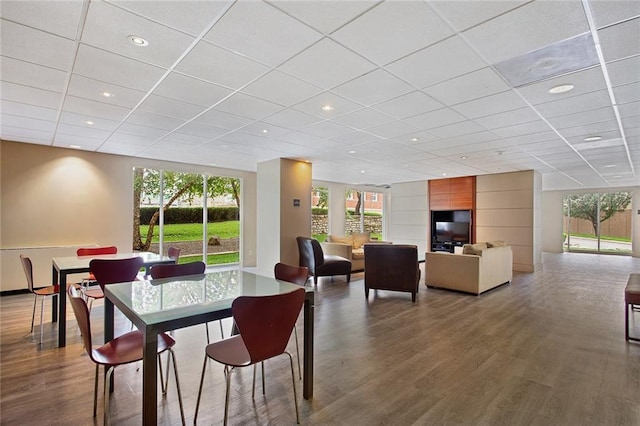 dining room with hardwood / wood-style floors and a drop ceiling