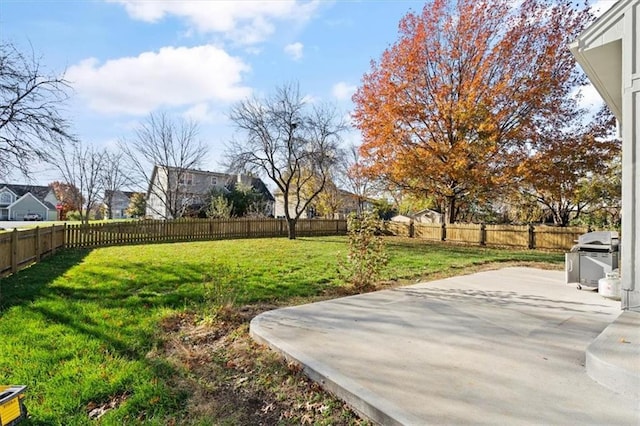 view of yard featuring a patio