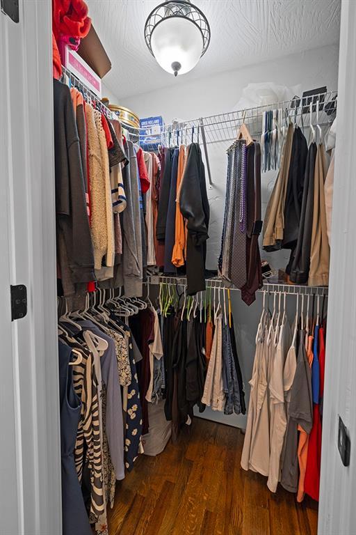 spacious closet featuring wood-type flooring