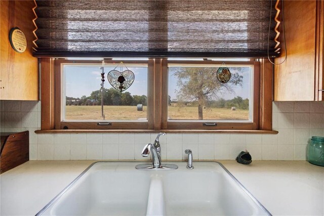 interior details featuring sink