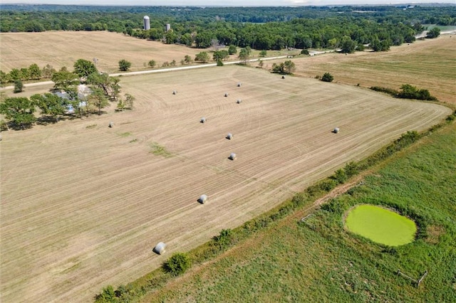 drone / aerial view featuring a rural view