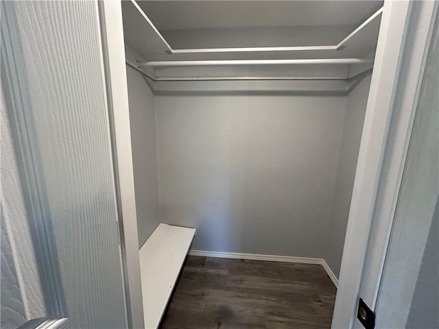 walk in closet featuring dark hardwood / wood-style flooring