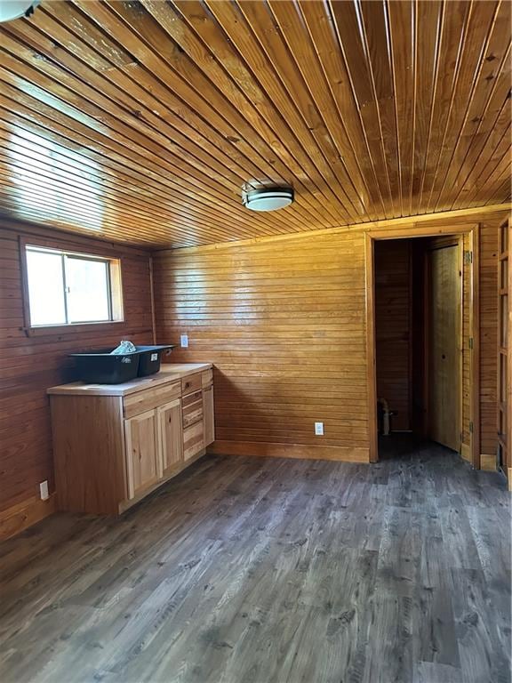 kitchen featuring dark wood-type flooring, wood walls, and wooden ceiling