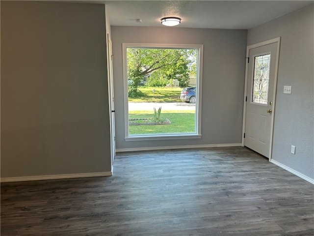 doorway featuring dark hardwood / wood-style flooring