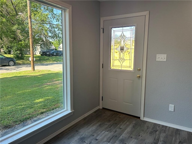 entryway featuring dark hardwood / wood-style floors and a healthy amount of sunlight