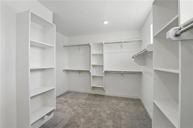 780 Creekmoor Dr, Raymore, MO 64083 - walk in closet with carpet