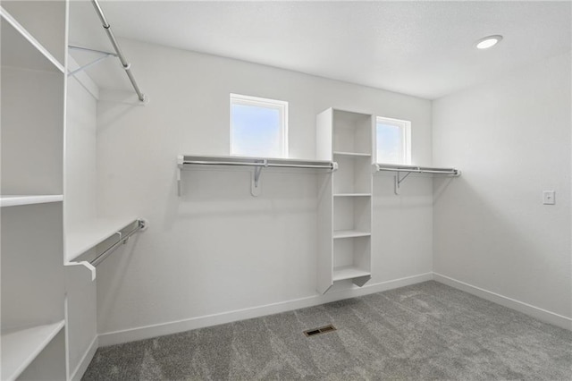 780 Creekmoor Dr, Raymore, MO 64083 - spacious closet with carpet floors