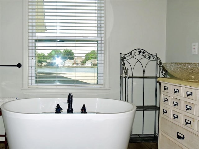 bathroom with a washtub