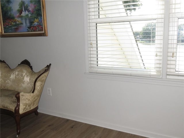 sitting room with hardwood / wood-style floors