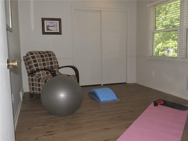 exercise area featuring dark hardwood / wood-style flooring