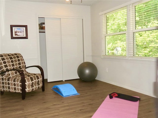 1005 Johnston Dr, Raymore, MO 64083 - exercise room featuring wood finished floors and baseboards