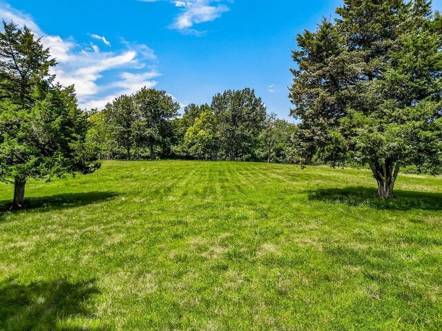 4225 Scott Rd, Kansas City, MO 64137 - photo 40