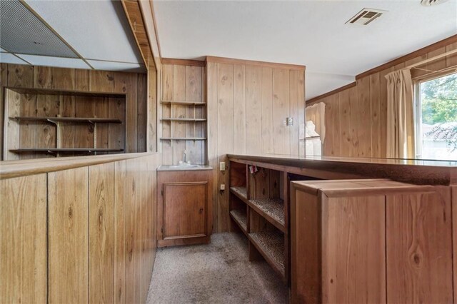 kitchen with wood walls and carpet flooring