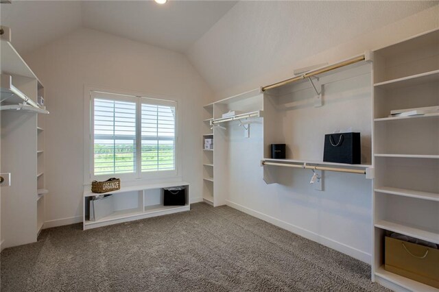 spacious closet featuring lofted ceiling and carpet flooring