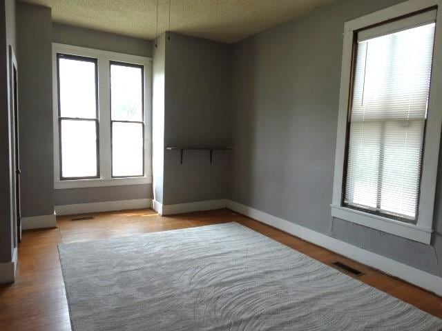 unfurnished room with light wood-type flooring, a wealth of natural light, and a textured ceiling