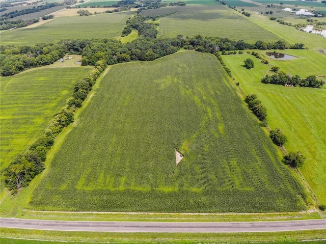 2365 John Brown Rd, Princeton, KS 66078 - photo 4