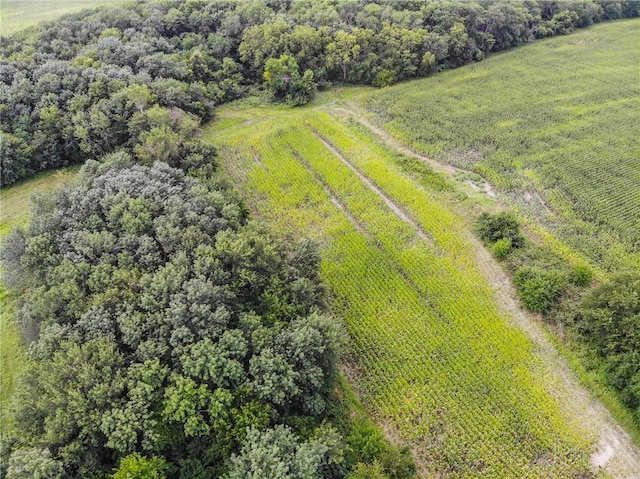 2365 John Brown Rd, Princeton, KS 66078 - photo 8