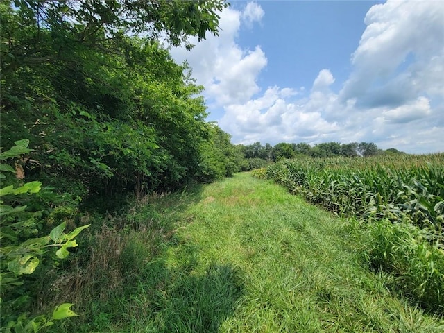 2365 John Brown Rd, Princeton, KS 66078 - photo 9