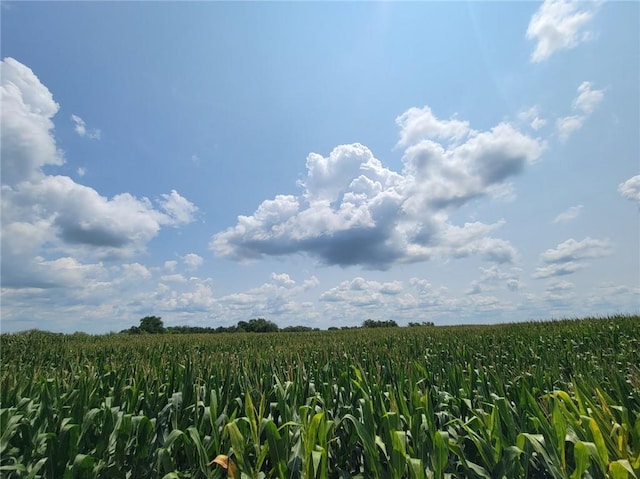 2365 John Brown Rd, Princeton, KS 66078 - photo 10