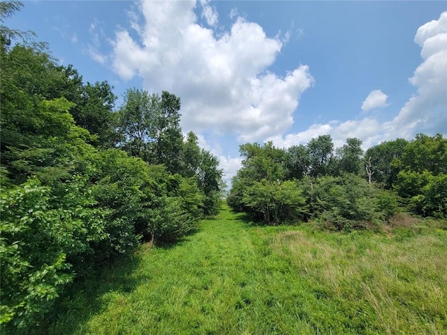 2365 John Brown Rd, Princeton, KS 66078 - photo 11